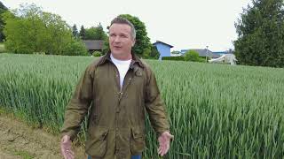 Österreich Welchen Beitrag Leisten Biostimulanzien Im Ackerbau