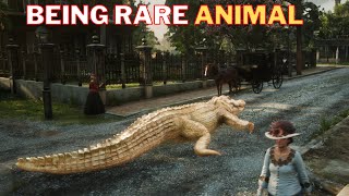 Playing as a rare Alligator | Being an Alligator | Red Dead Redemption 2