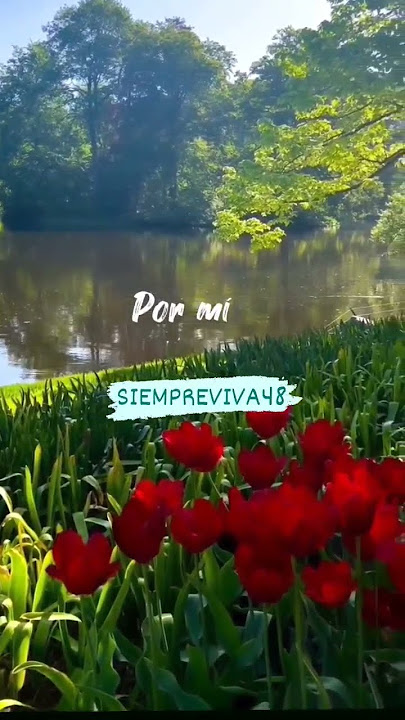 Te Encontré ❤️Perri Cristina❤️