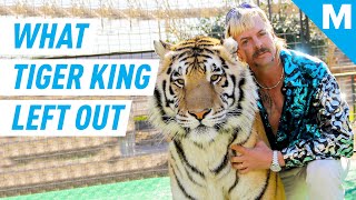5 Wild Facts Left Out Of Netflix's 'Tiger King' | Mashable