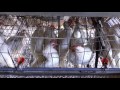 EXPOSED: Life Inside a Battery Cage on a Mexican Hen Farm