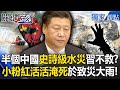 小粉紅抗議