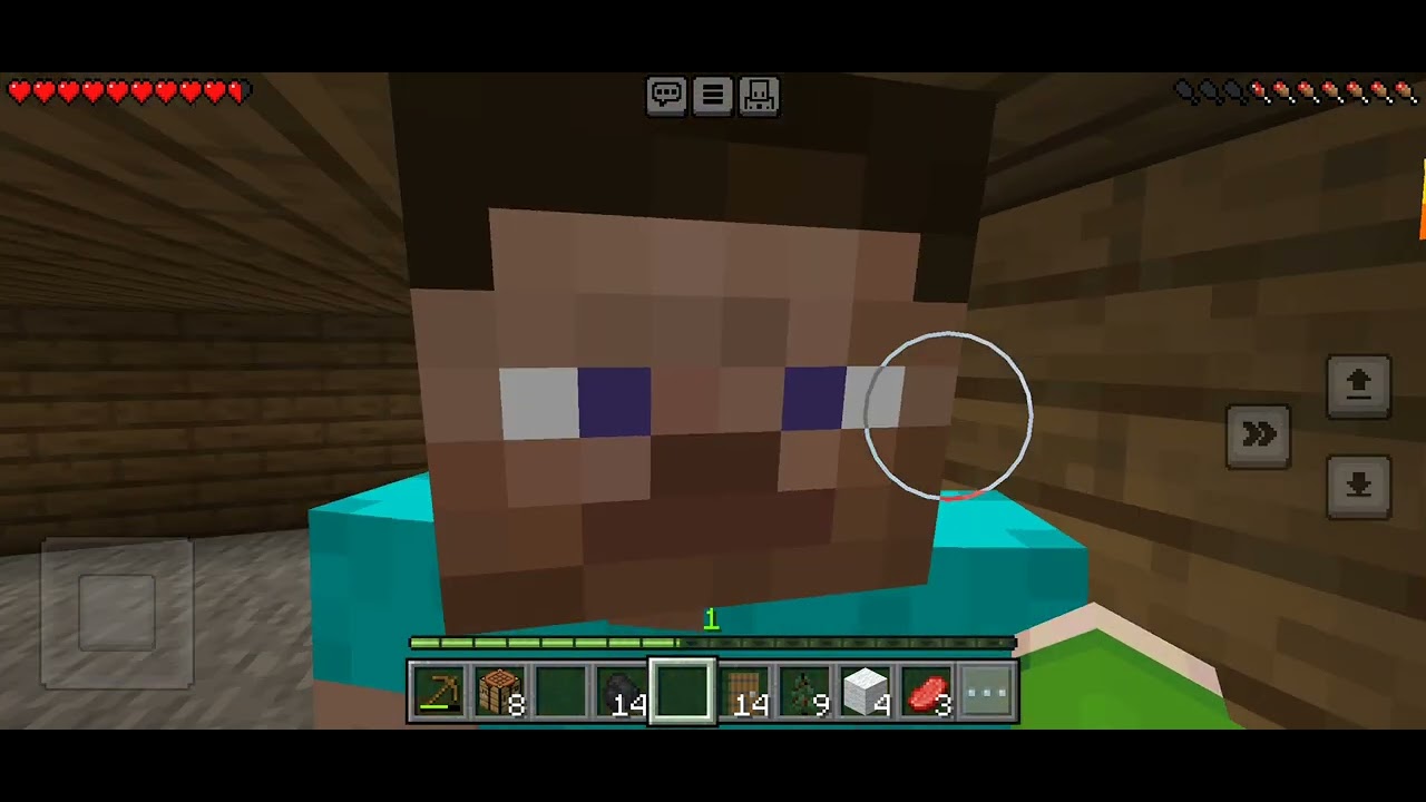 me and my little brother surviving in minecraft but if one of us die the video ends