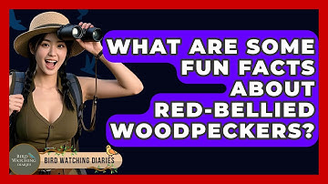 What Are Some Fun Facts About Red-bellied Woodpeckers? - Bird Watching Diaries