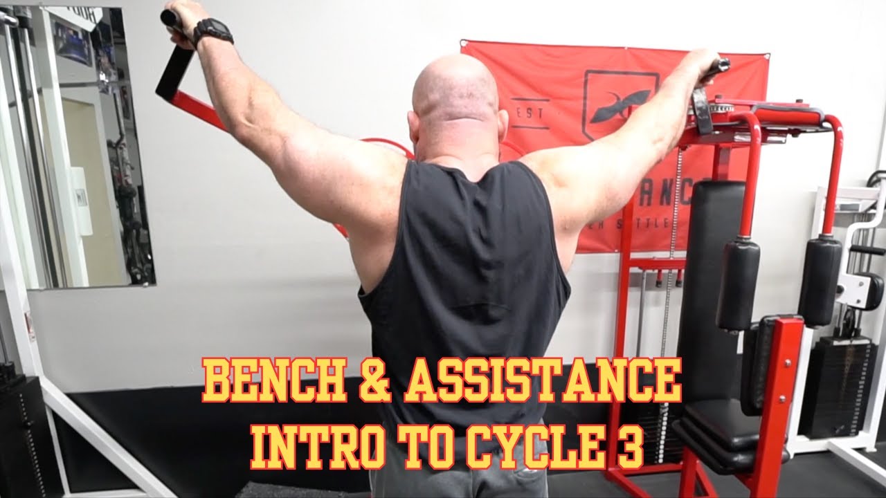 Bench & Assistance -Intro to Cycle 3