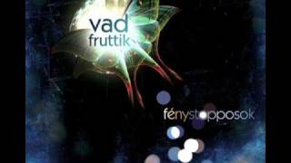 Video thumbnail of "Vad Fruttik - Városlakó"