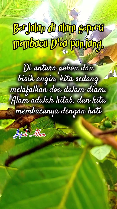 Berjalan di alam seperti membaca doa panjang
