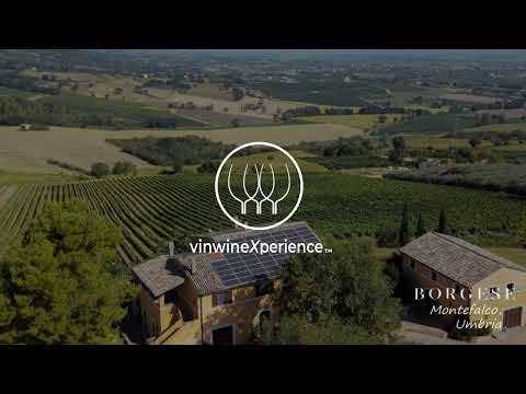 Vídeo: Bodegues Montefalco i Sagrantino a Umbria, Itàlia