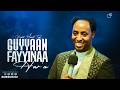 Guyyaan Fayyinaa Har A Prophet MeseretTaye Araratvworldwide 