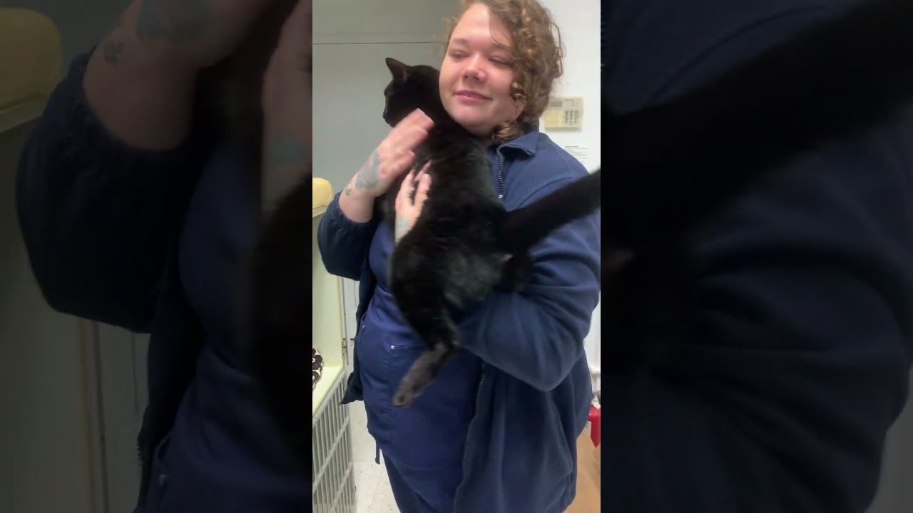 Skill #2 feline remove from cage