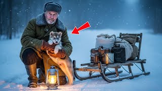 видео: «Щенок лайки попал под машину и остался на дороге — потом остановился старик, и всё изменилось» картинка: «Щенок лайки попал под машину и остался на дороге — потом остановился старик, и всё изменилось»