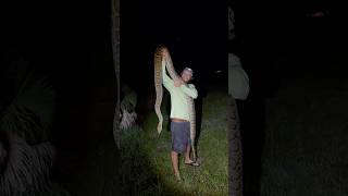 Cant Wait To Find Some Biggins Like This Again