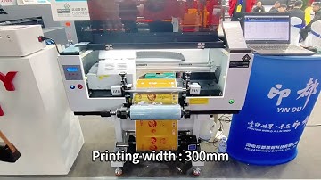 Audley UV DTF printer, 30cm UV DTF printer installs 3 Epson XP600 head