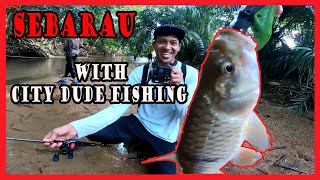 Sebarau BESAR Main Celah Reba Tewas / Mancing Bersama City Dude Fishing / Sebarau Fishing