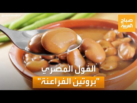 صباح العربية بروتين الفراعنة حقائق قد لا تعرفها عن أصل الفول في الحضارة المصرية