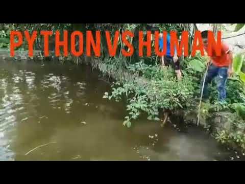 PYTHON VS HUMAN - YouTube