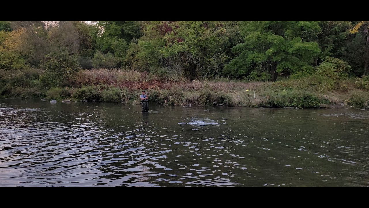 Salmon Fishing Videos 2022 Season YouTube