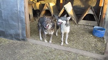 6C24BFF7 3717 4969 8CBA 6D510719BF8E