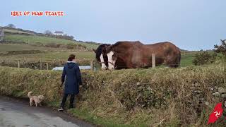 CREGNEASH (Creneash) | Manx National Heritage 🇮🇲 isle of man
