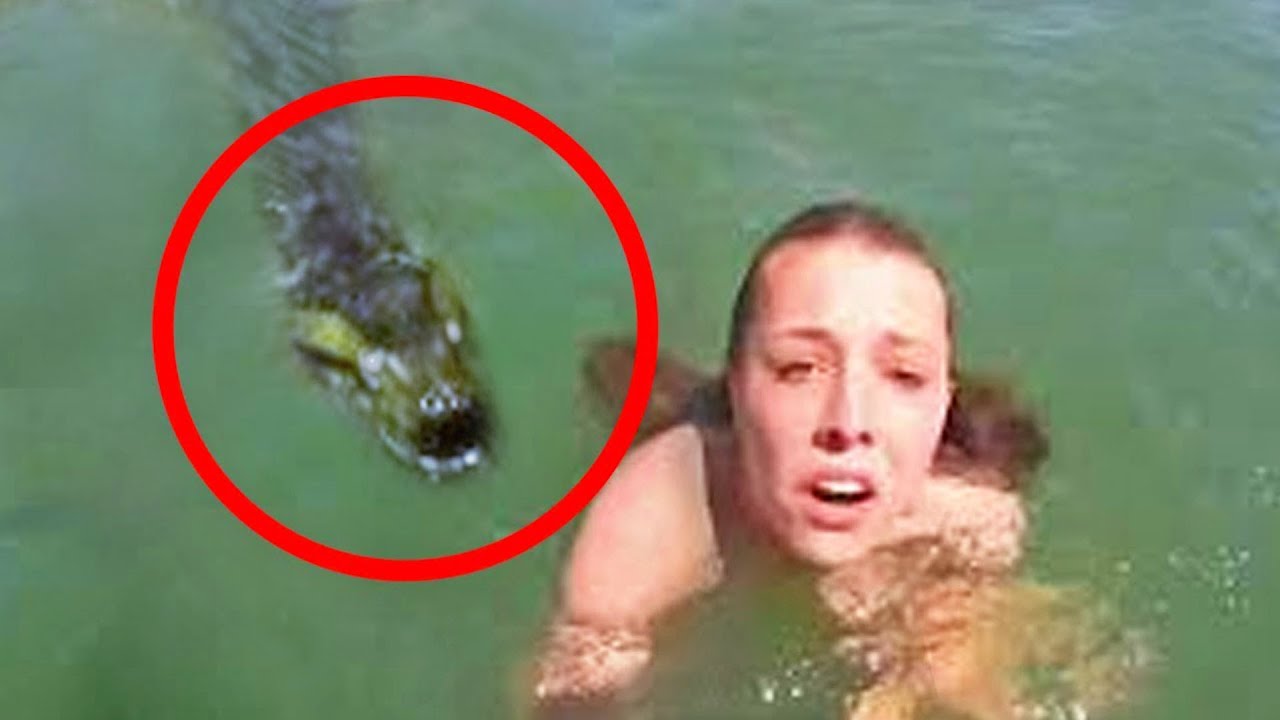 ⁣Instant Karma Getting Caught On Camera