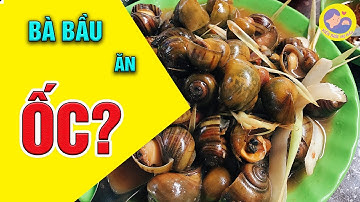 ☘️ Bà Bầu Ăn Ốc Có Được Không? Những Lưu Ý Khi Bà Bầu Ăn Ốc | Kiến Thức Mẹ Bầu
