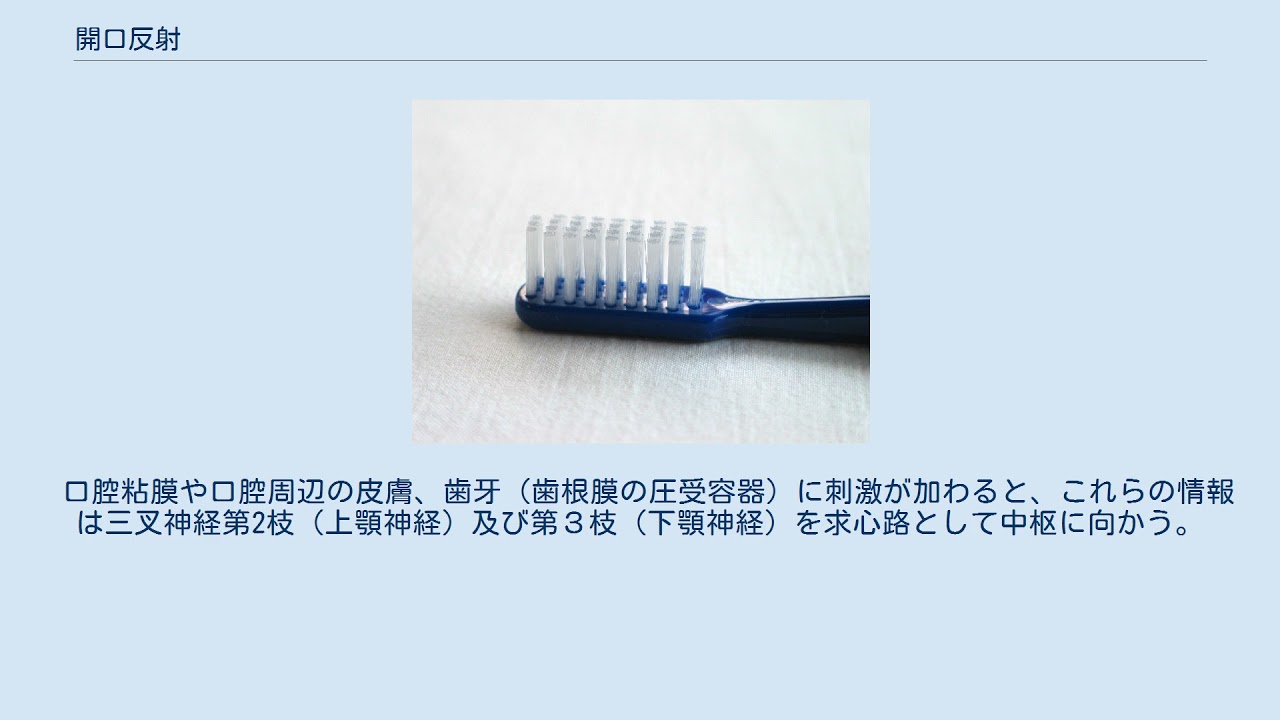 開口反射 Youtube