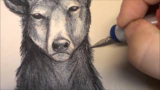 Kivilitografia / Stone lithography