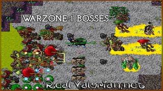 Tibia RealValorian Warzone-1 Bosses Team Hunt ( ED / EK )