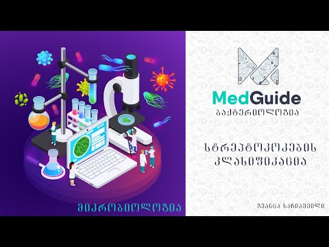 Medguide/მედგიდი - მიკრობიოლოგია | ბაქტერიოლოგია: სტრეპტოკოკების კლასიფიკაცია.