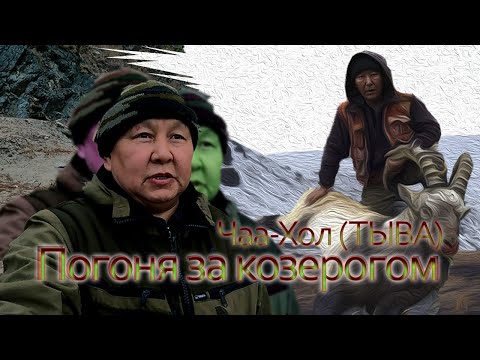 Видео: В погоне за козерогом часть-II. Тыва Чаа-Хольский район.