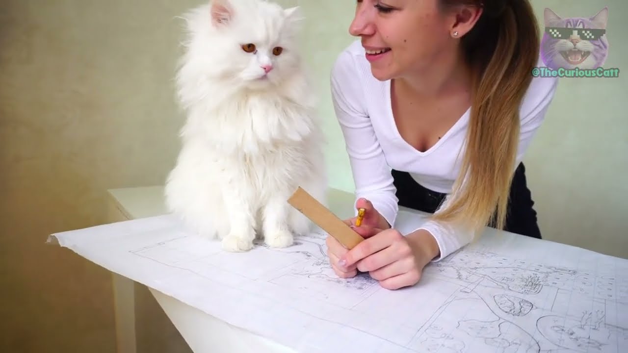 YouTube video image 3