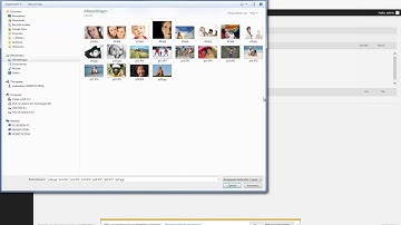 Nextgen Gallery Wordpress tutorial Nederland  | Dutch
