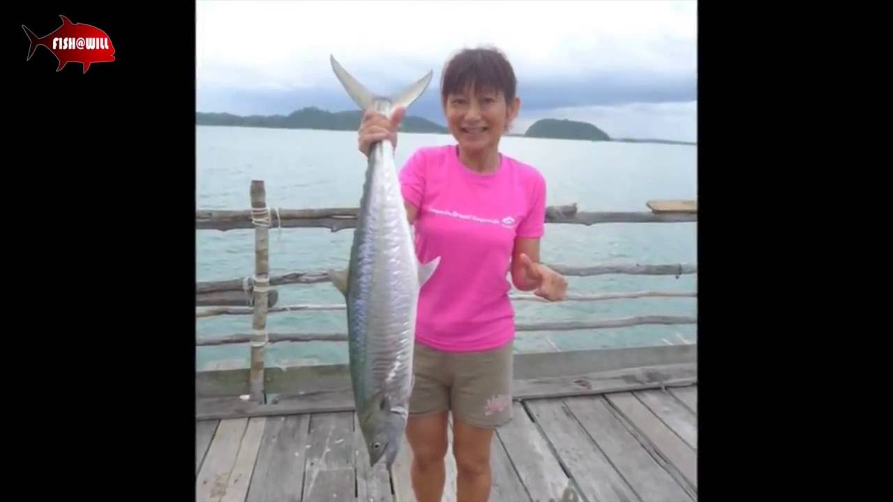Malaysia Kelong Fishing Spanish Mackerel YouTube