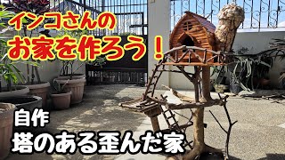 インコさんのお家を作ろう！ 自作 塔のある歪んだ家