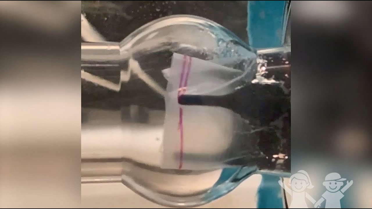 Using 3D Printing to Create Biological Heart Valves for Kids - Using 3D Printing to Create Biological Heart Valves for Kids