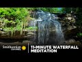 Understanding Nature's Influence on Mindfulness