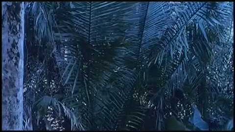Predator (Predador) - Special Effects - Camouflage 2 (Camuflagem 2)