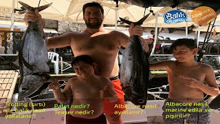 Albacore Belgeseli - Trolling (sırtı) ile aynı anda iki balık yakalama, marine, pişirme ve servis