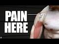 Biceps tendinopathy  tendinitis  anterior shoulder pain rehab education  exercises