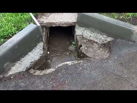 IMG 6132