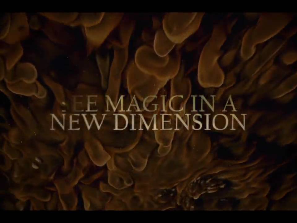 Magic: The Gathering - Tactics