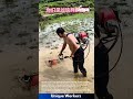 Man Uses Backpack Tiller in Muddy Rice Paddy | Innovative Farming Technique