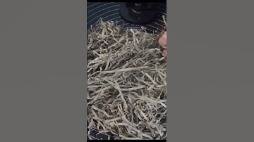 ASMR: Intense Crinkly Shredded Paper Sounds for Tingles & Sleep (No Talking)