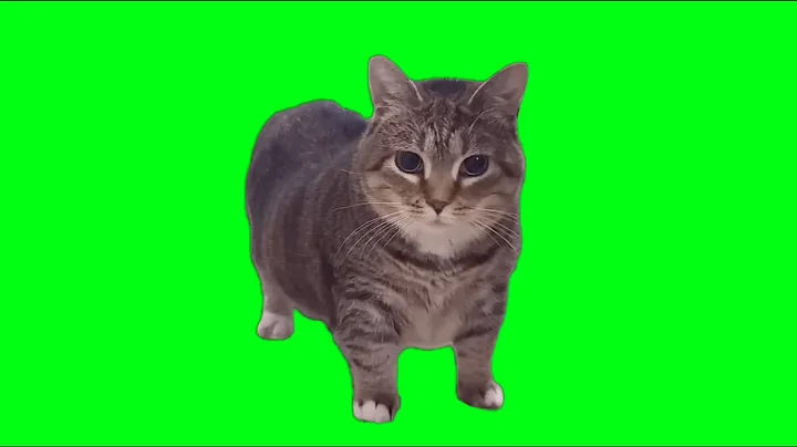 OIIA Cat x Ievan Polkka (OFFICIAL VIDEO)