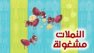 قصة الأطفال النملات مشغولة | قصص اطفال قبل النوم | #44