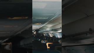 Whats wrong with the way Americans act on airplanes?