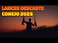 MEJORES LANCES de CAZA de CONEJO con PODENCO 🐕 | Recopilación Descaste 2025 #perro #cazamenor