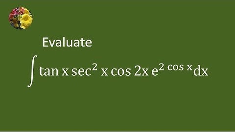 2024 MIT Integration Bee, Semi Final # 2 problem # 4