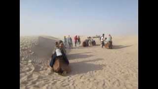 Туристы в  Сахаре