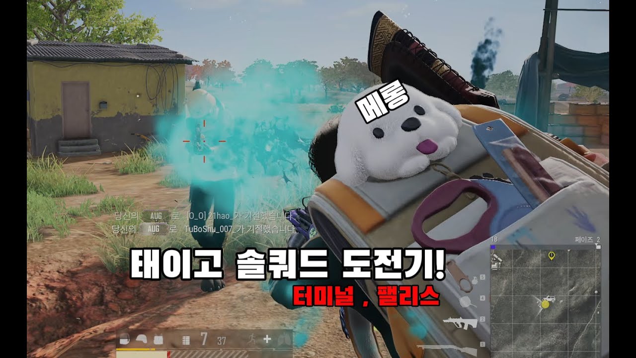 태이고 1vs4 솔쿼드 도전기!! [터미널,팰리스]
